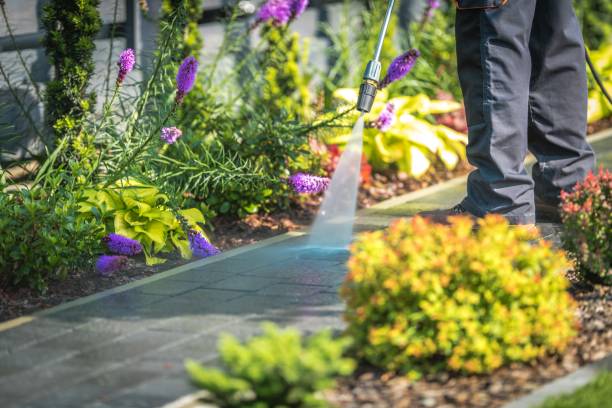 Best Restaurant Pressure Washing  in Pantego, TX
