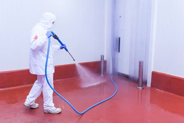 Best Roof Washing  in Pantego, TX